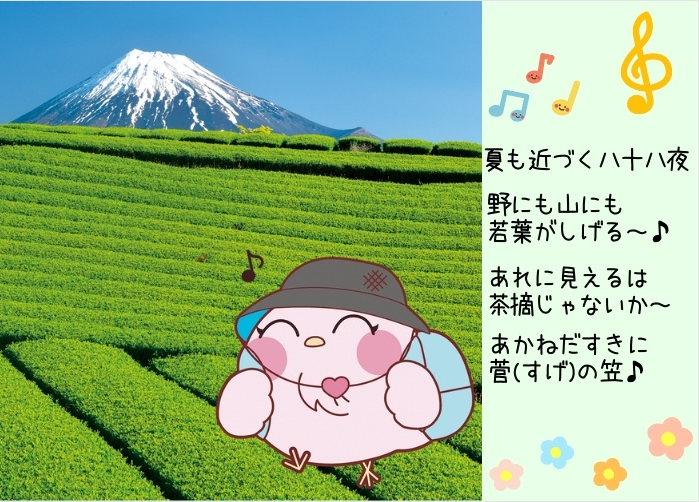 家庭薬新聞