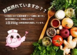 26種類の国産野菜を手軽に美味しく栄養補給!【やさいの恵み】