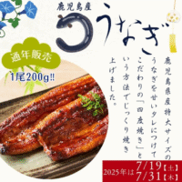 うなぎファン必見!絶品極上うなぎがあなたの食卓へ