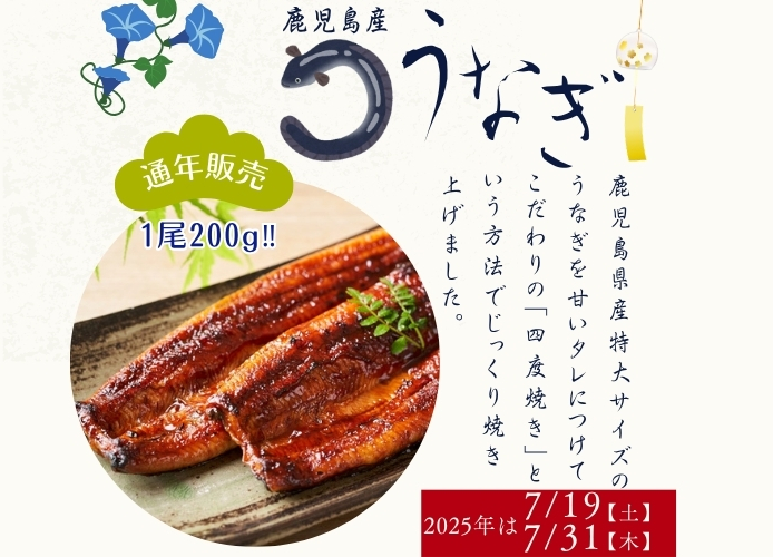 家庭薬新聞