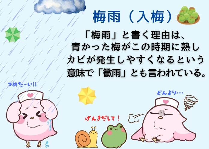 家庭薬新聞