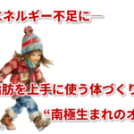 ⛄冬のエネルギー不足に― 脂肪を上手に使う体づくりを支える“南極生まれのオイル”🦐