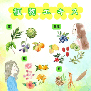 暮らしの中に、“植物の知恵”を