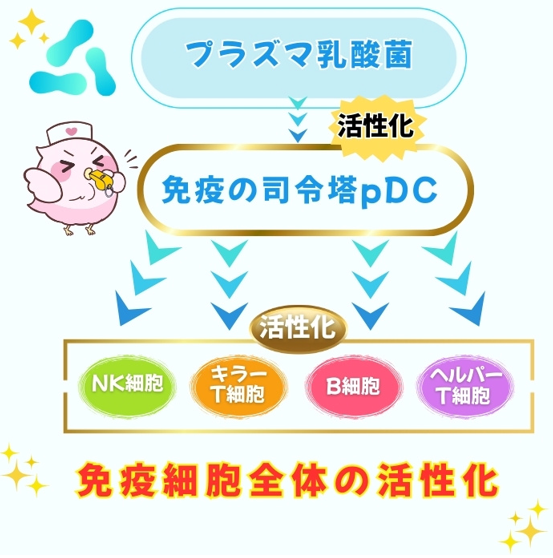 新発売!【青玉プレミアム免疫と睡眠と記憶力】「メルマガ三洋8月29日号」No.111