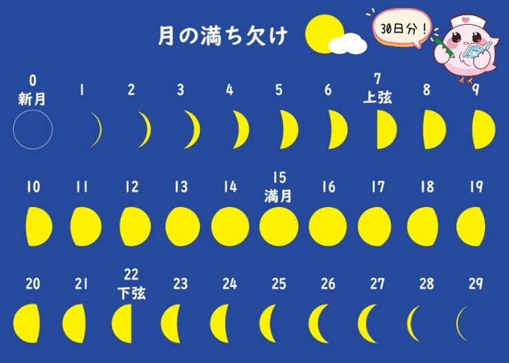 月の満ち欠けイラスト