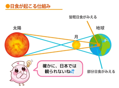 ”つよく、美しく、たくましく”「ツーパーディ」マルチビタミンのご紹介 「メルマガ三洋9月19日号」No.114