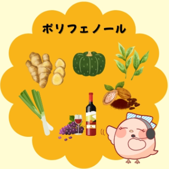 ポリフェノールの説明とふーちゃんママ