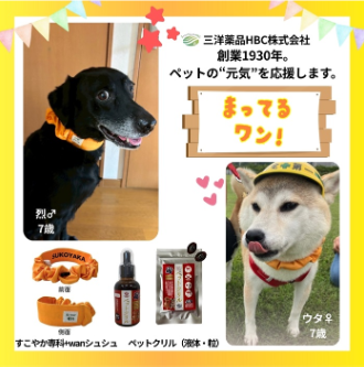 三洋薬品富士山わんわんマルシェ紹介画像