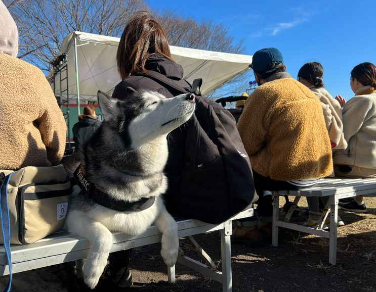 FUJIYAMADAYSイベント会場写真6