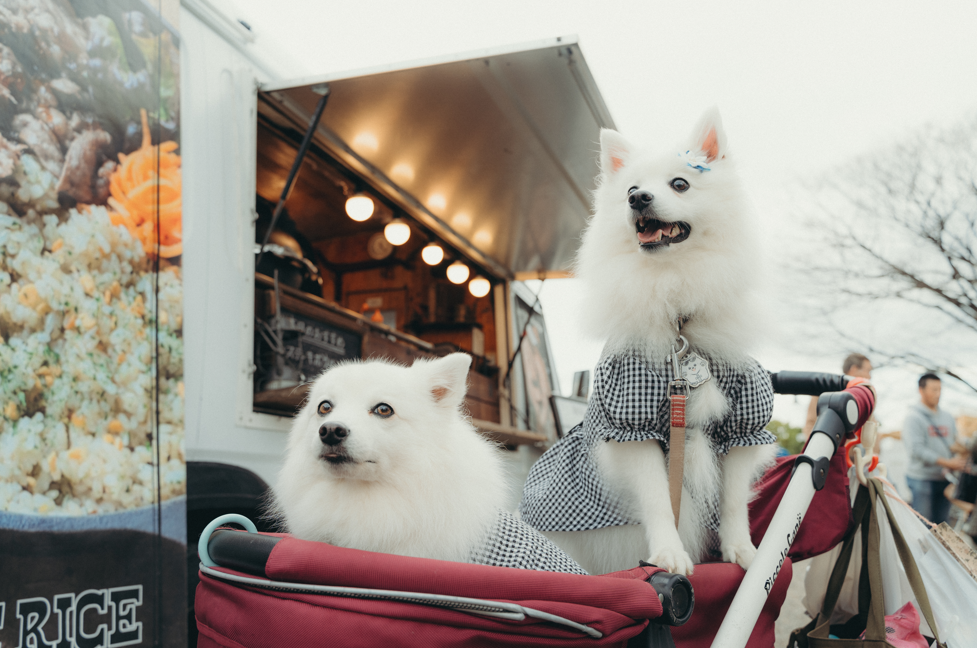 FUJIYAMADAYSイベント会場写真1