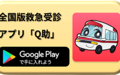 Q助_google play