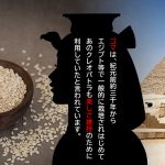 ゴマは、紀元前約三千年から エジプト等で一般的に栽培されはじめてあのクレオパトラも美しさ維持のために利用していたと言われています。