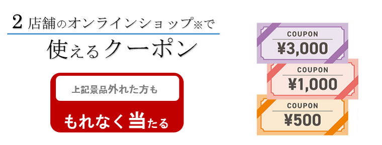 2店舗のオンラインショップで使えるクーポン 上記景品外れた方も「もれなく当たる」