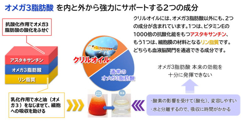 オメガ３脂肪酸を内と外から強力にサポートするクリルオイルにふくまれる２つの成分