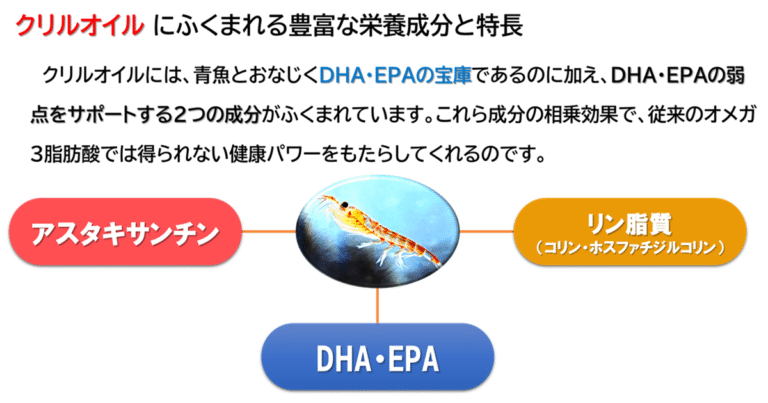 クリルオイルにふくまれる豊富な栄養成分と特長