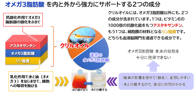 オメガ３脂肪酸 を内と外から強力にサポートする２つの成分とは？