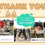 ペットイベント会場写真