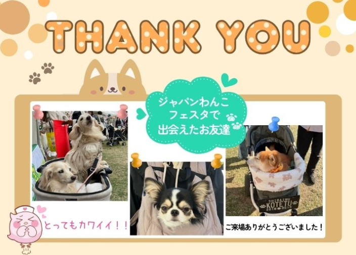 11⽉23⽇(⽇)東京お台場　ジャパンわんこフェ スタ　イベントレポート　　　　　　　　　