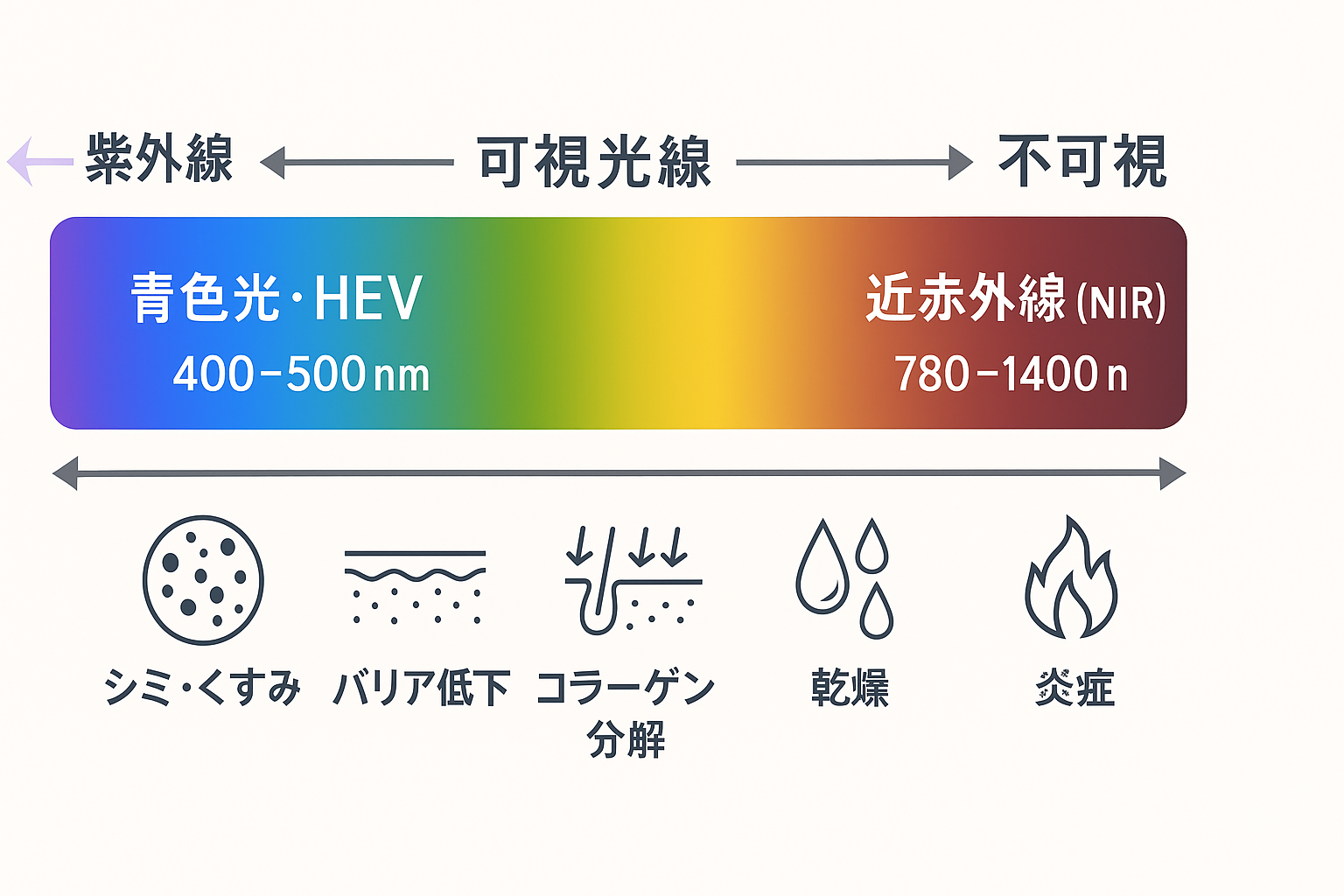 光線色別の肌への影響